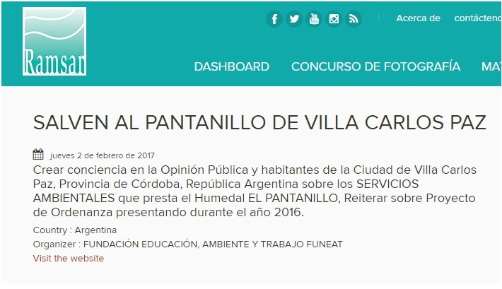 PNATANILLO 2